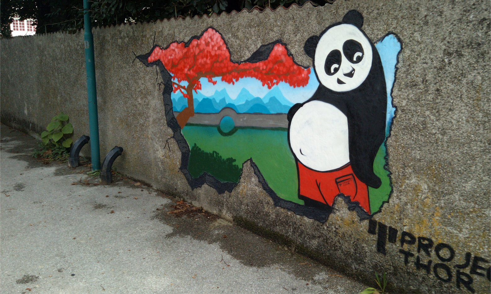 Panda